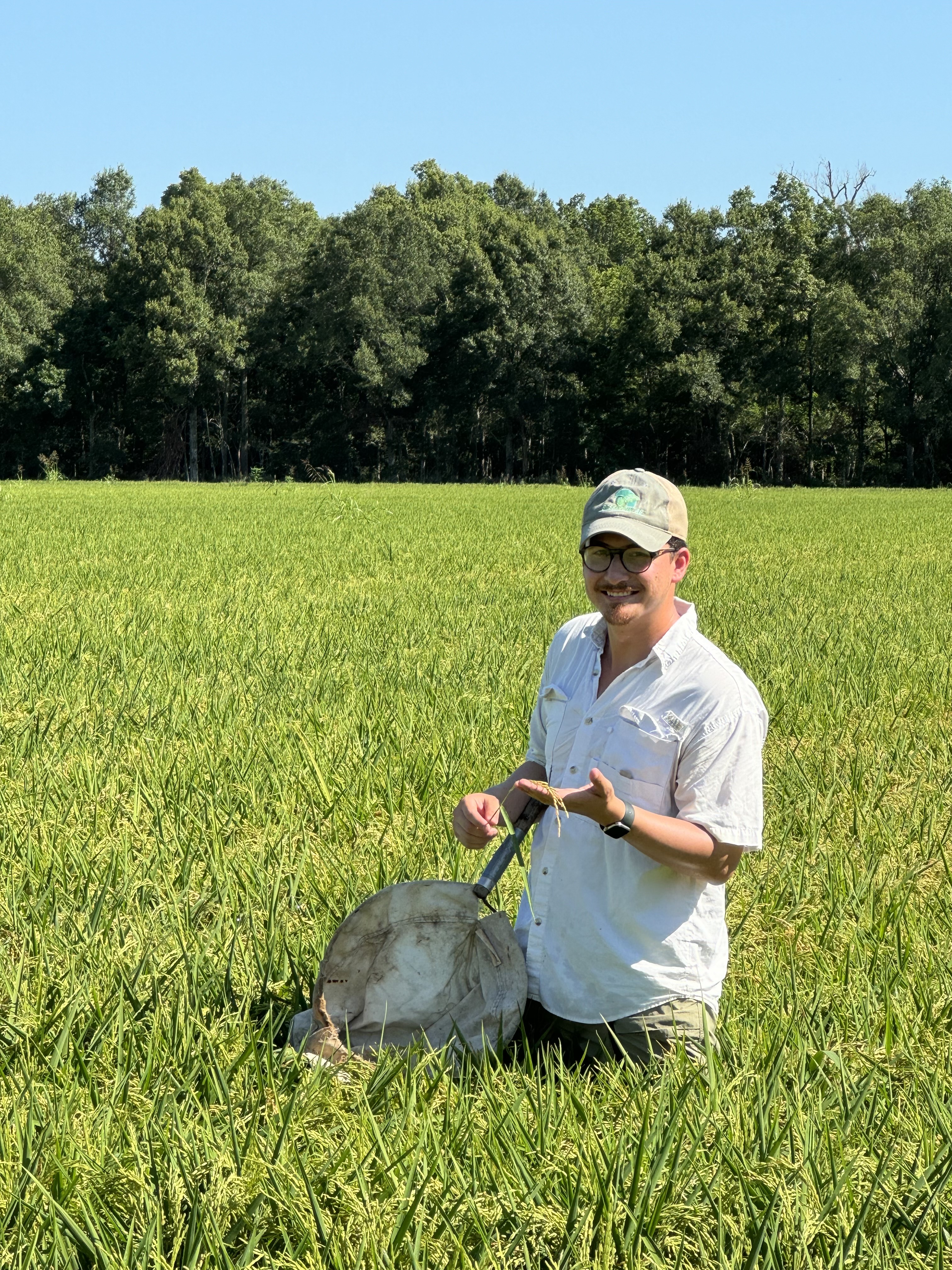 Born for this: New state rice specialist faces an emerging challenge 